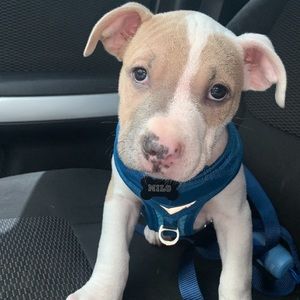 Meet your Posher, Dorothy